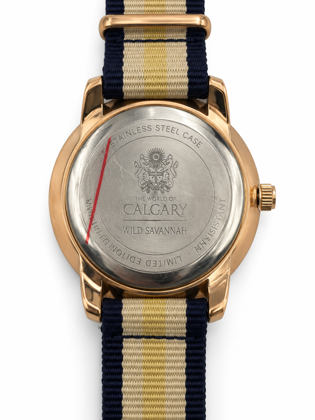 Orologio Calgary Wild Savannah dorato con quadrante effetto legno e cinturino blu e beige
